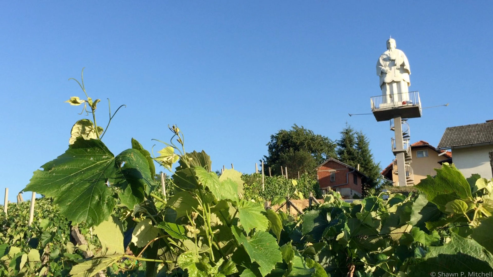A statue stands above a vineyard in northern Croatia.